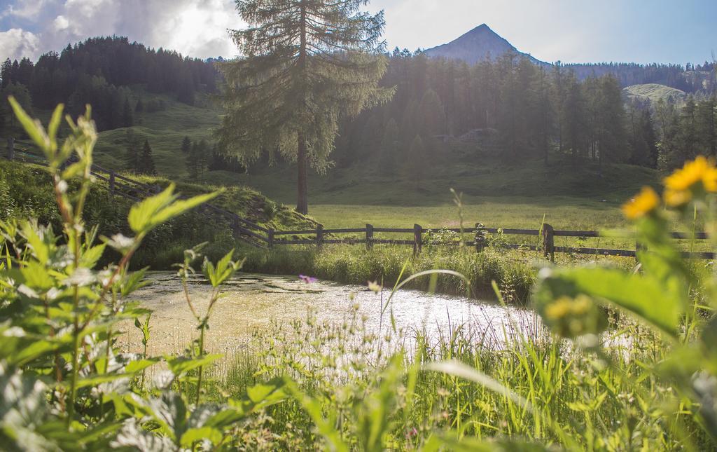 Hotel Dunza Buerserberg Luaran gambar